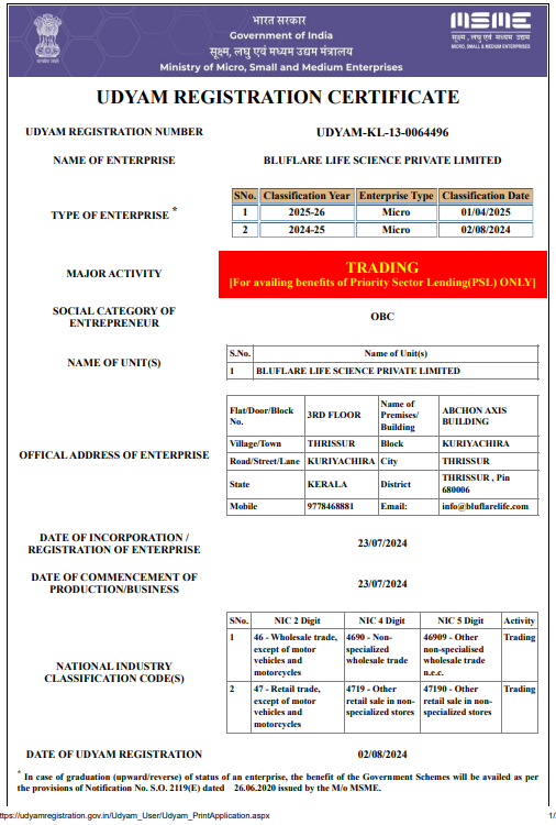 PDF Preview
